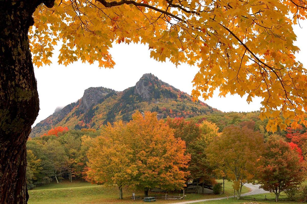 Autumn falls into color at Grandfather Mountain News