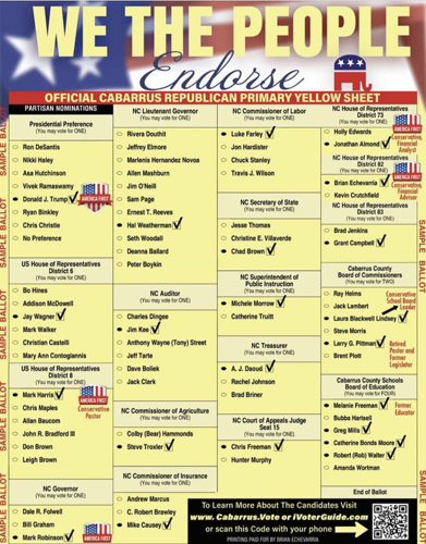 Election Day Yellow flyer