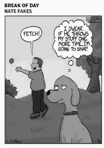 Page B6 eedition image