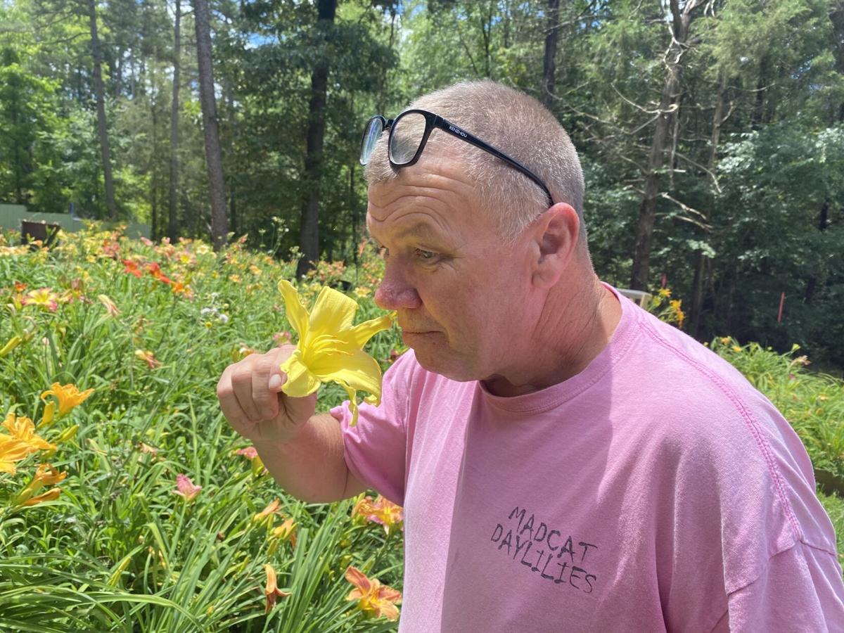 Joe Hudson and his daylilies