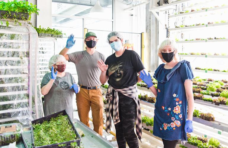 Vertical Harvest Staff