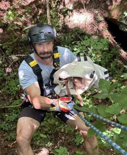Deer rescue