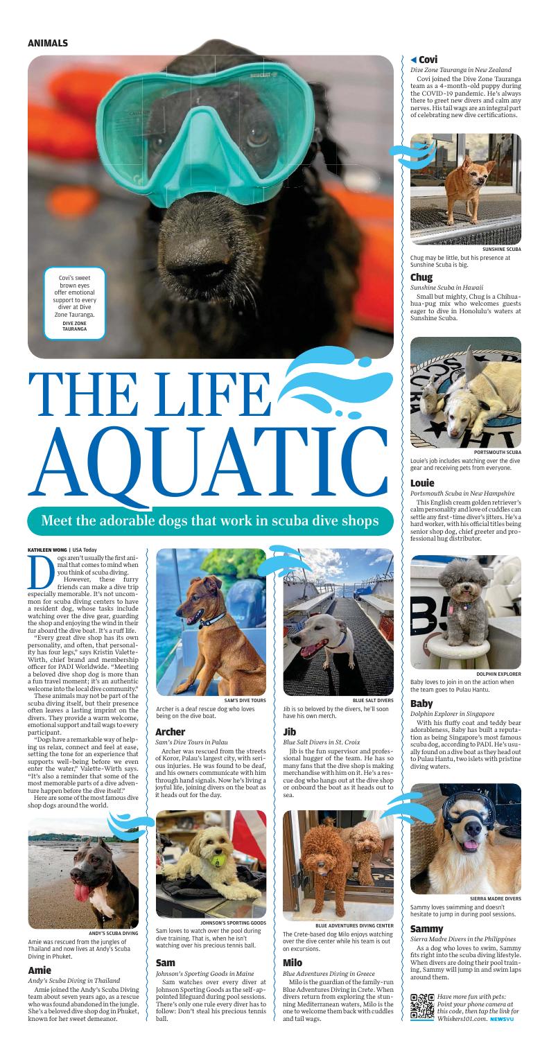 Page O3