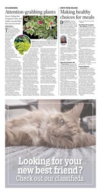 Page O8