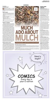 Page O11