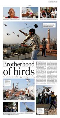 Page O3