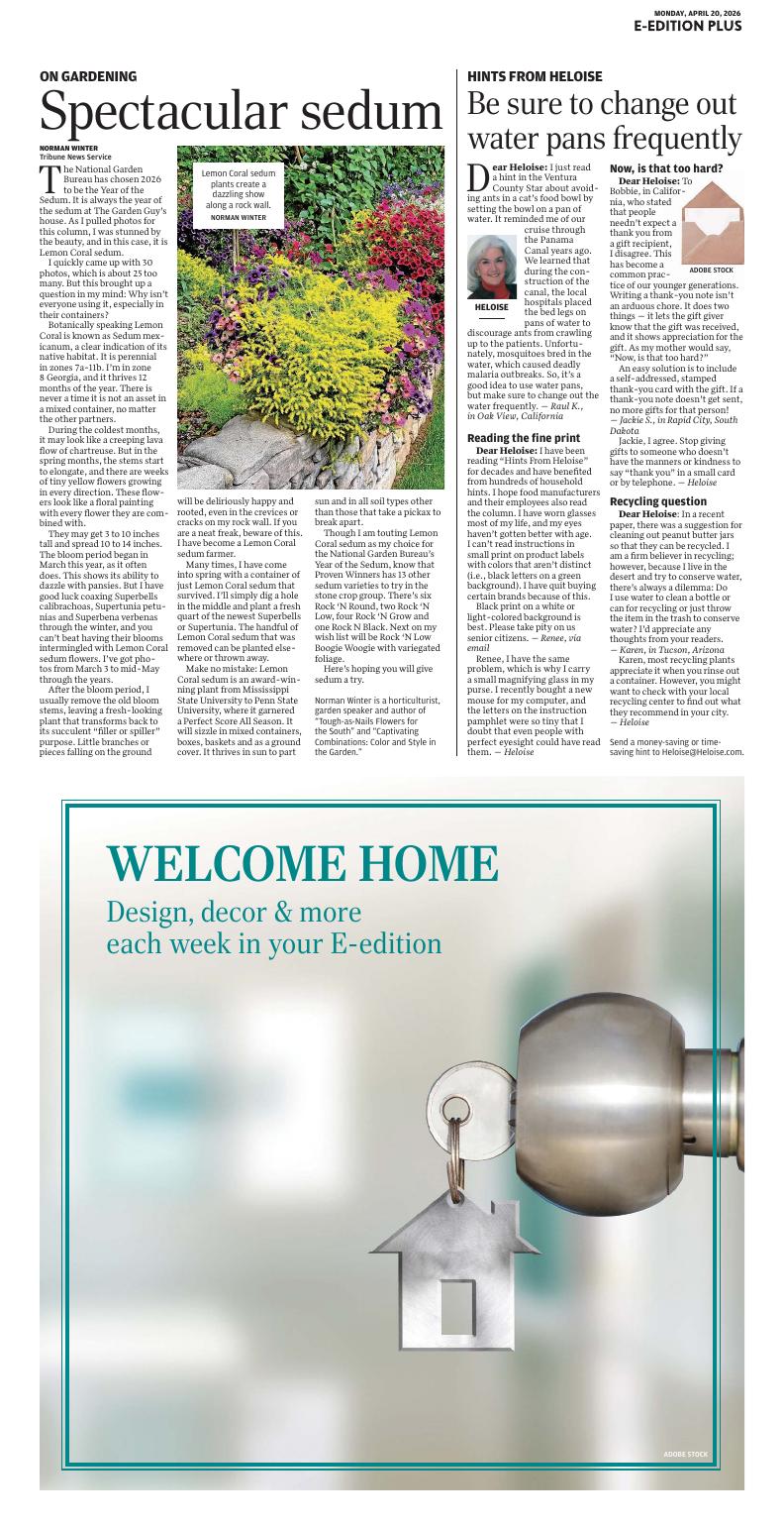 Page O8