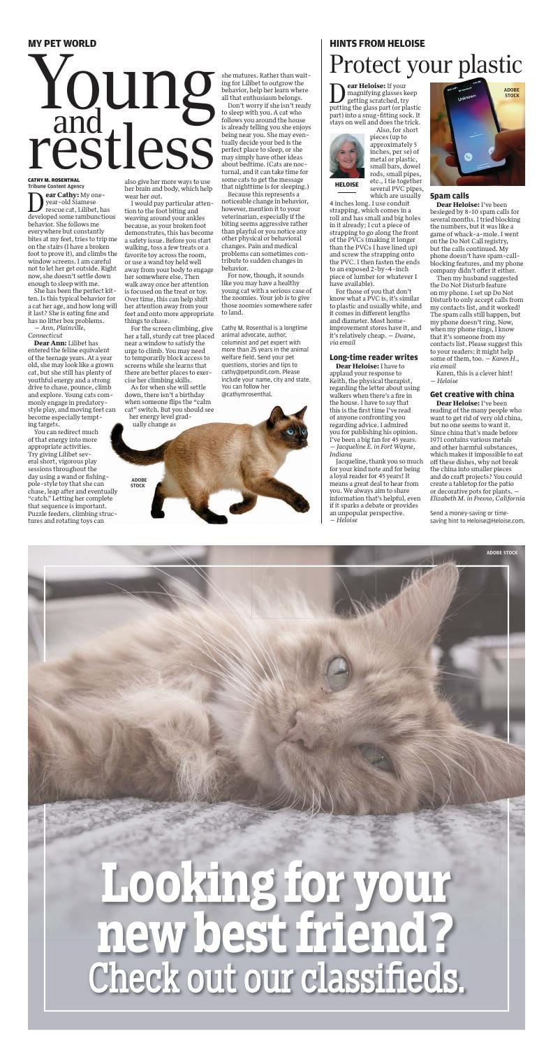 Page O8