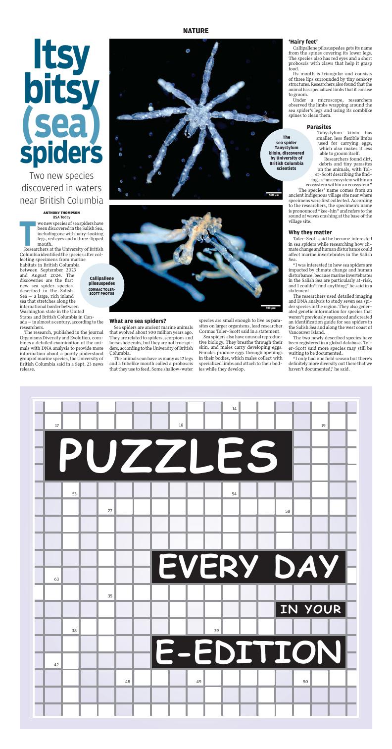 Page O10