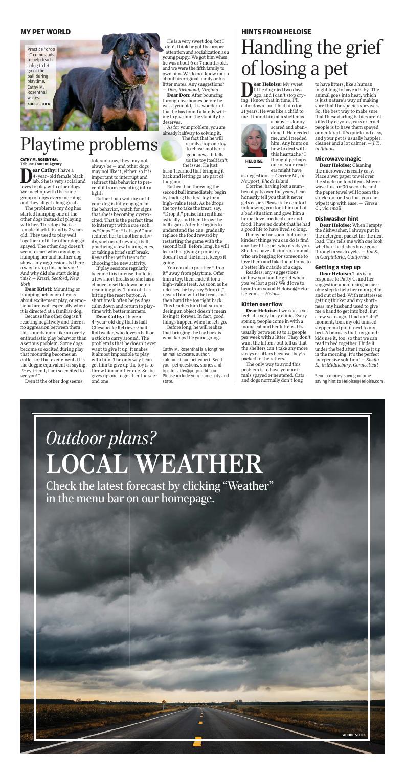 Page O8