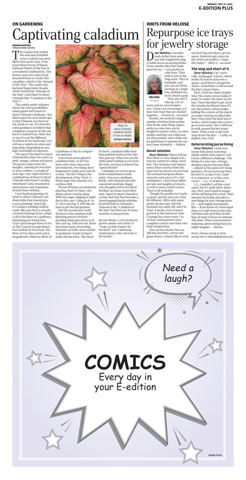 Page O8
