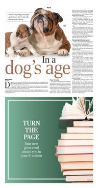 Page O11