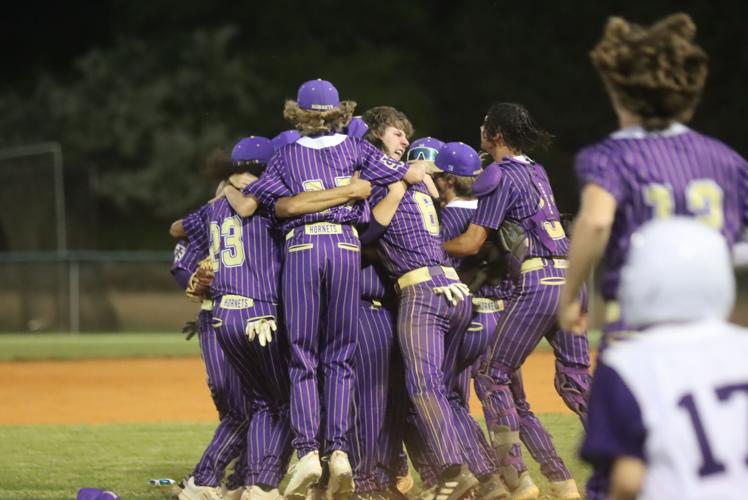 Ware Shoals baseball sweeps Dixie to earn region championship Sports