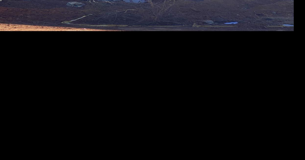 Cod Tail to open in Greenwood News