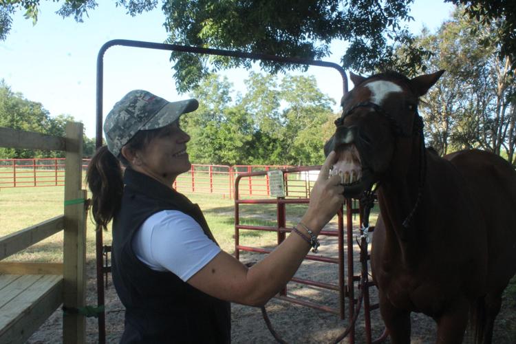 Paying it forward at Equine Heart Healers Ranch News
