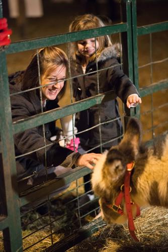 Connie Maxwell Christmas 2022 Connie Maxwell Christmas Opens Tonight, Runs Through Saturday | News |  Indexjournal.com