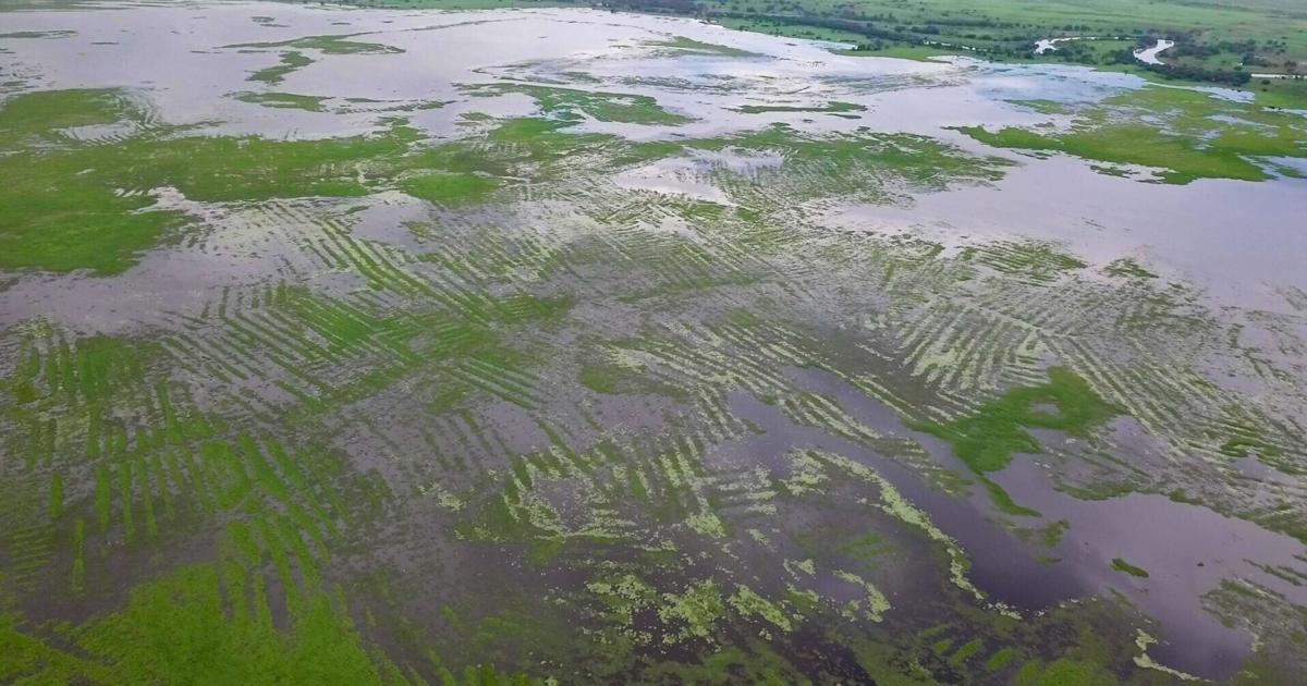 Research reveals how ancient farmers built an ‘engineering wonder ...