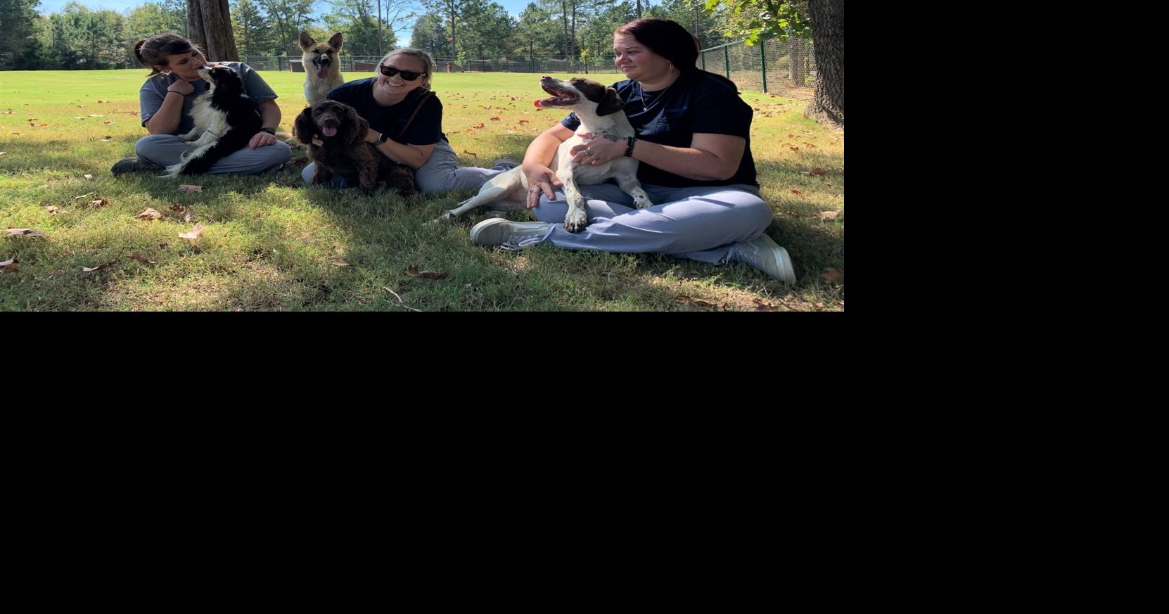 Diana Pet Food building new milliondollar cattery News