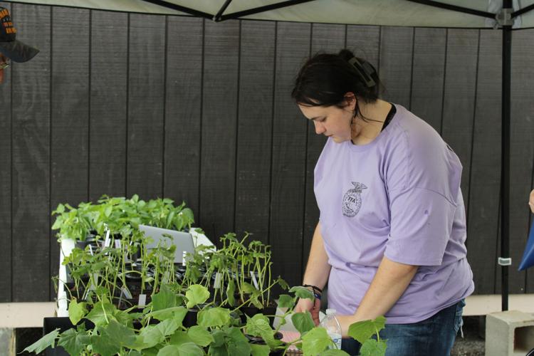 FFA plant sale gives students growing, fundraising experience News