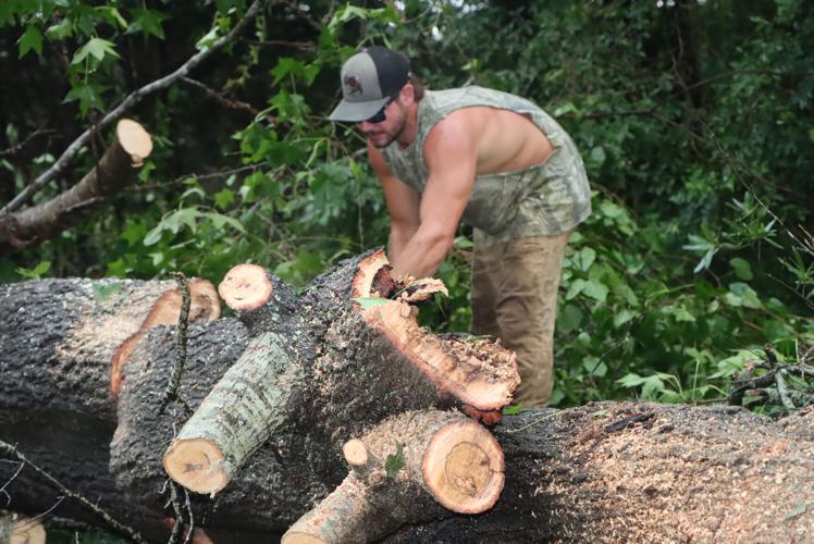 Storm downs trees, knocks out power | News | indexjournal.com