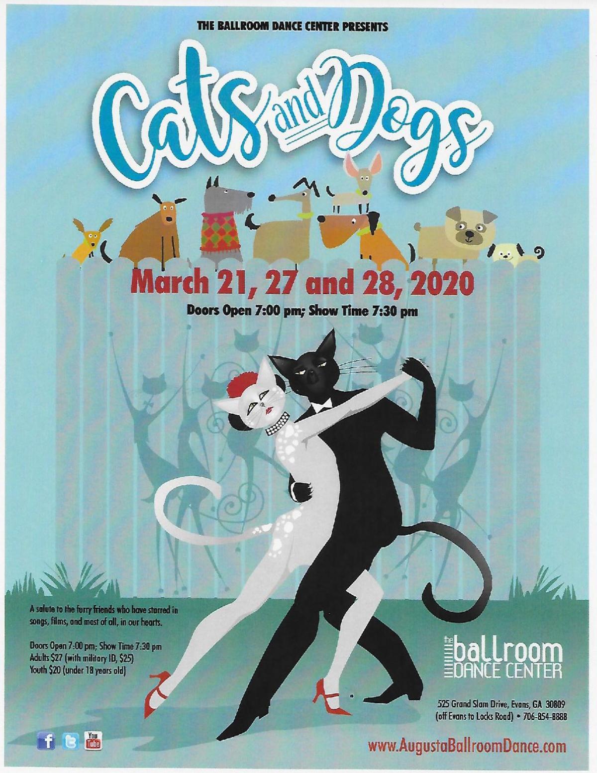 Cats And Dogs Calendar Indexjournal Com