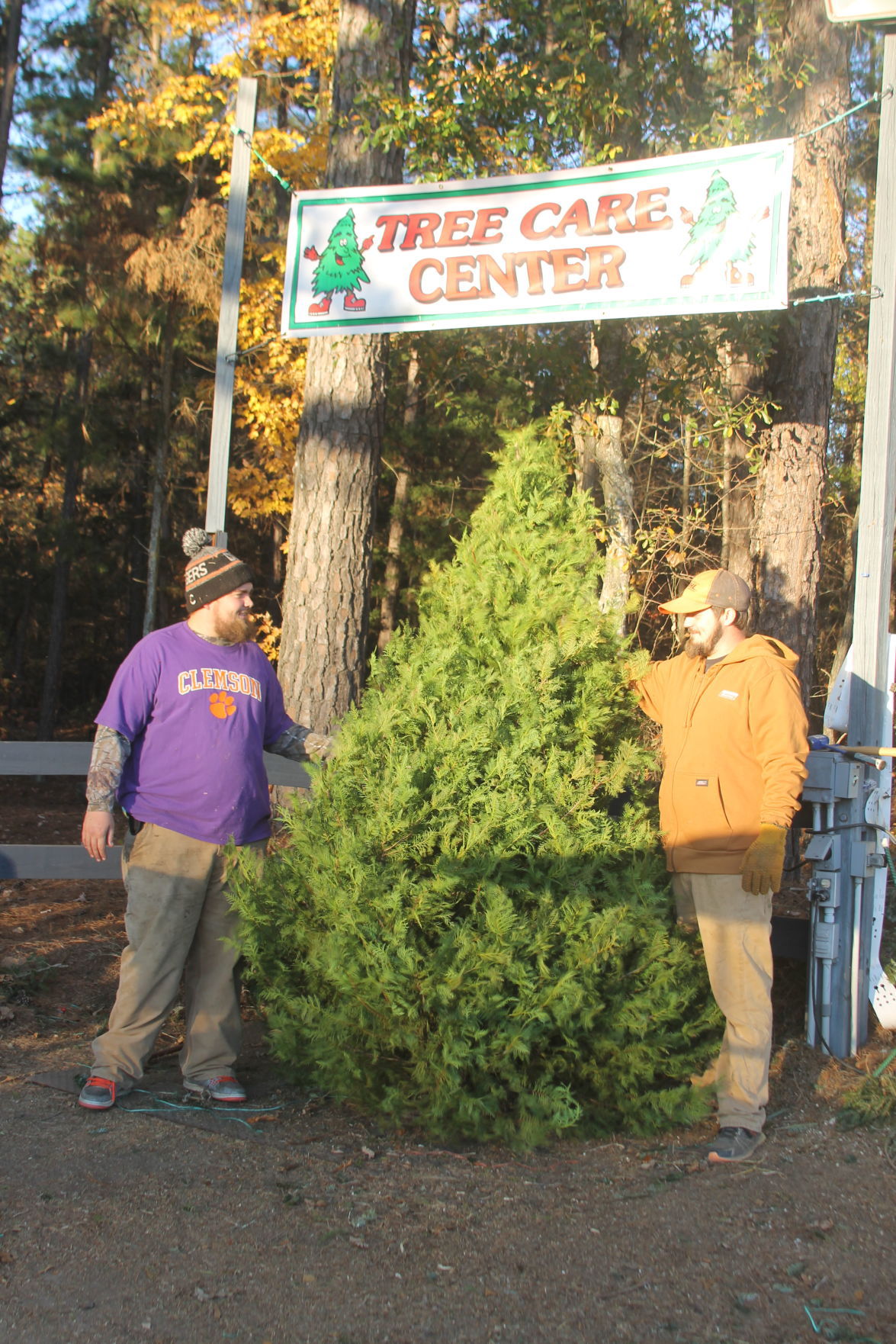 oh christmas tree keeping the holidays fresh and safe oh christmas tree keeping the holidays fresh and safe