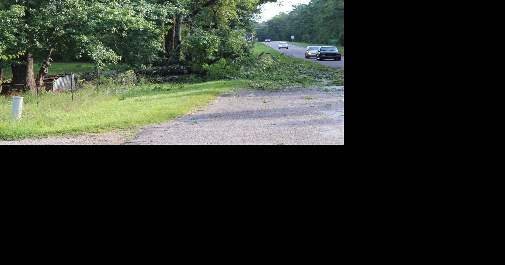 Thursday evening storms cause fallen trees, power outages in McCormick ...