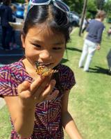 Hospice to host 23rd annual Butterfly Celebration