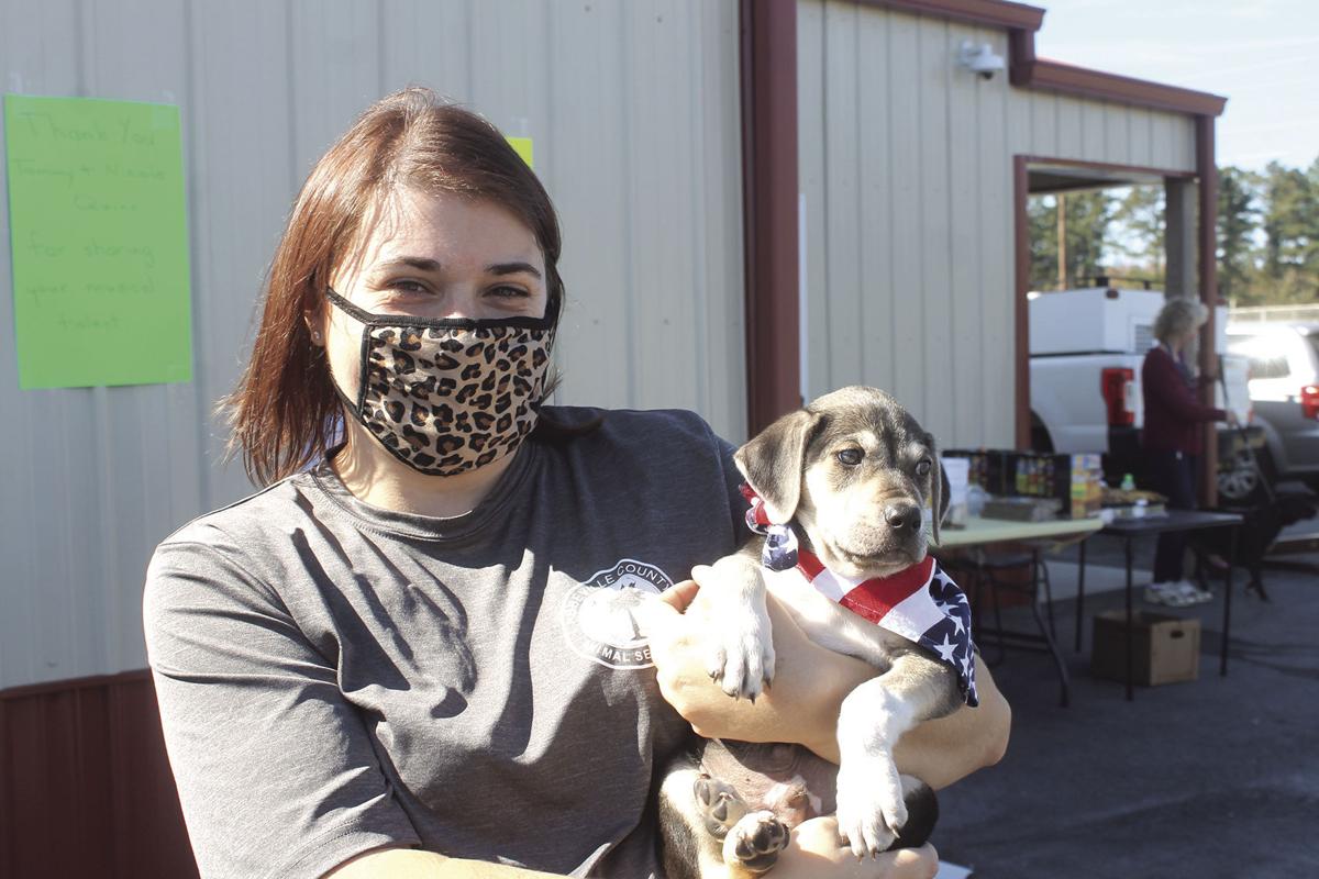 Gone To The Dogs Animal Lovers Visit Adoption Event At Abbeville County Shelter News Indexjournal Com