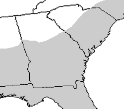 alligators in south carolina map Why Aren T There Many Alligators In The Upstate Sports alligators in south carolina map