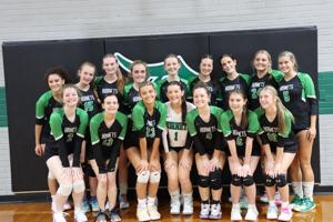 Dixie volleyball sweeps No. 9 Hardeeville behind serving surge