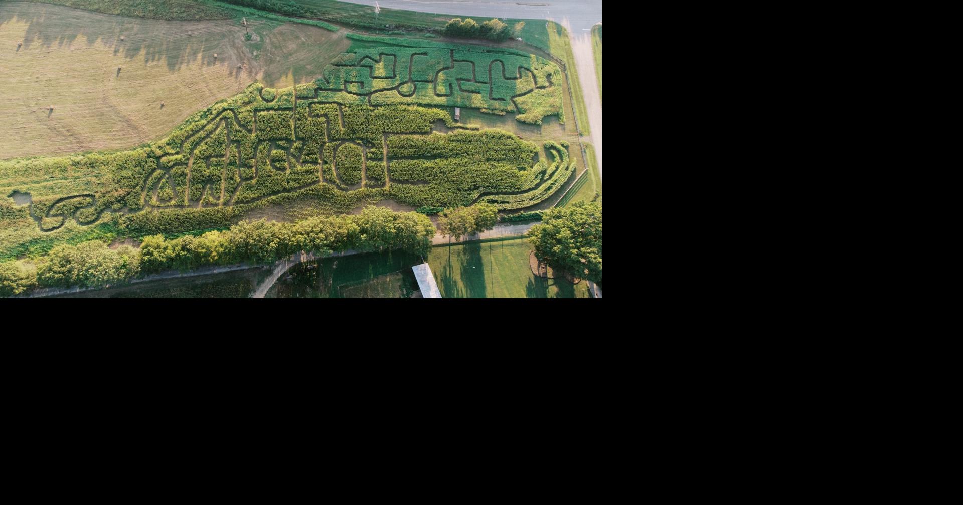 Maxwell Farms invites community to get lost — and try new corn maze ...