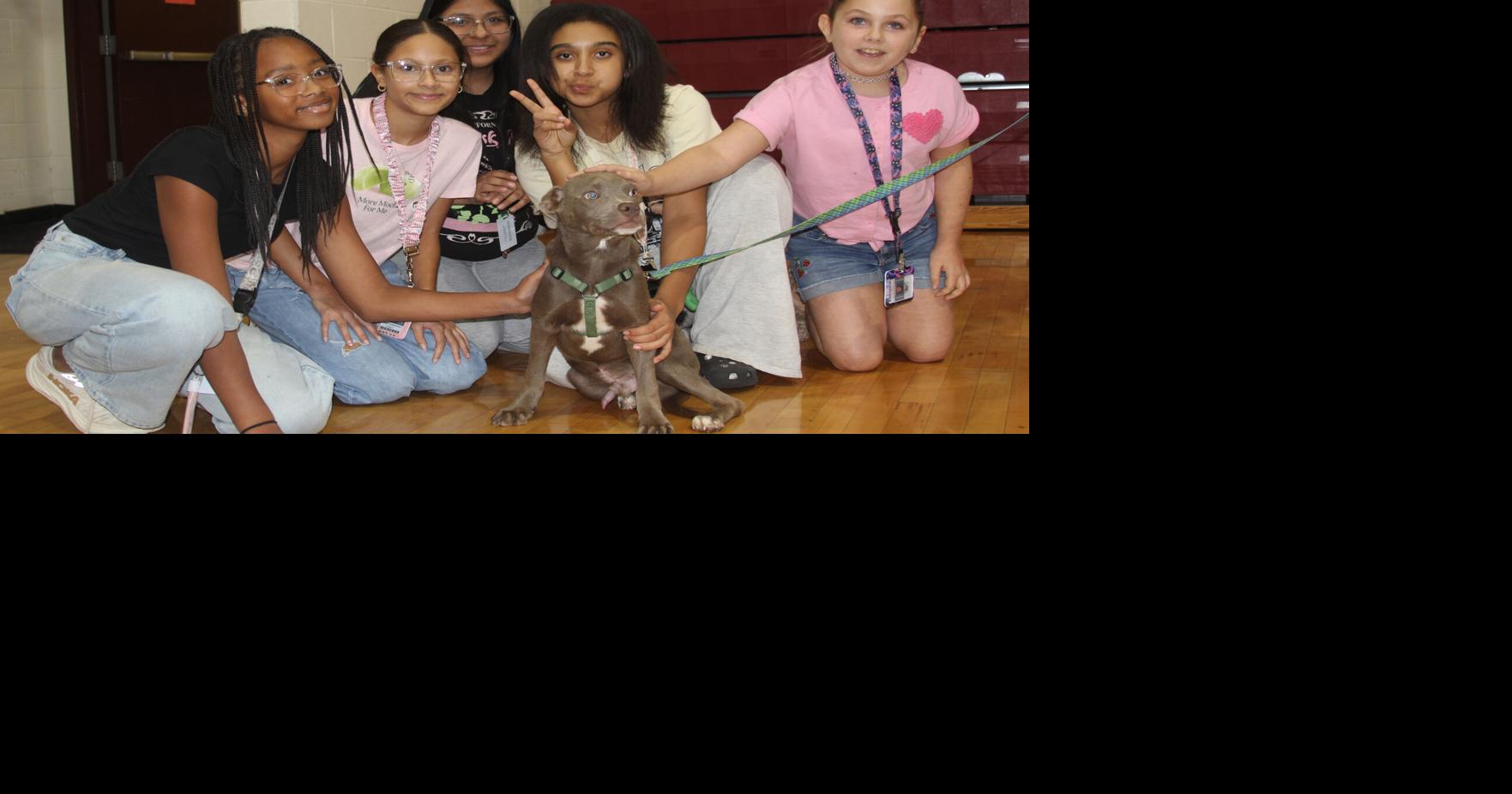 Humane Society pets visit school to promote mental health awareness