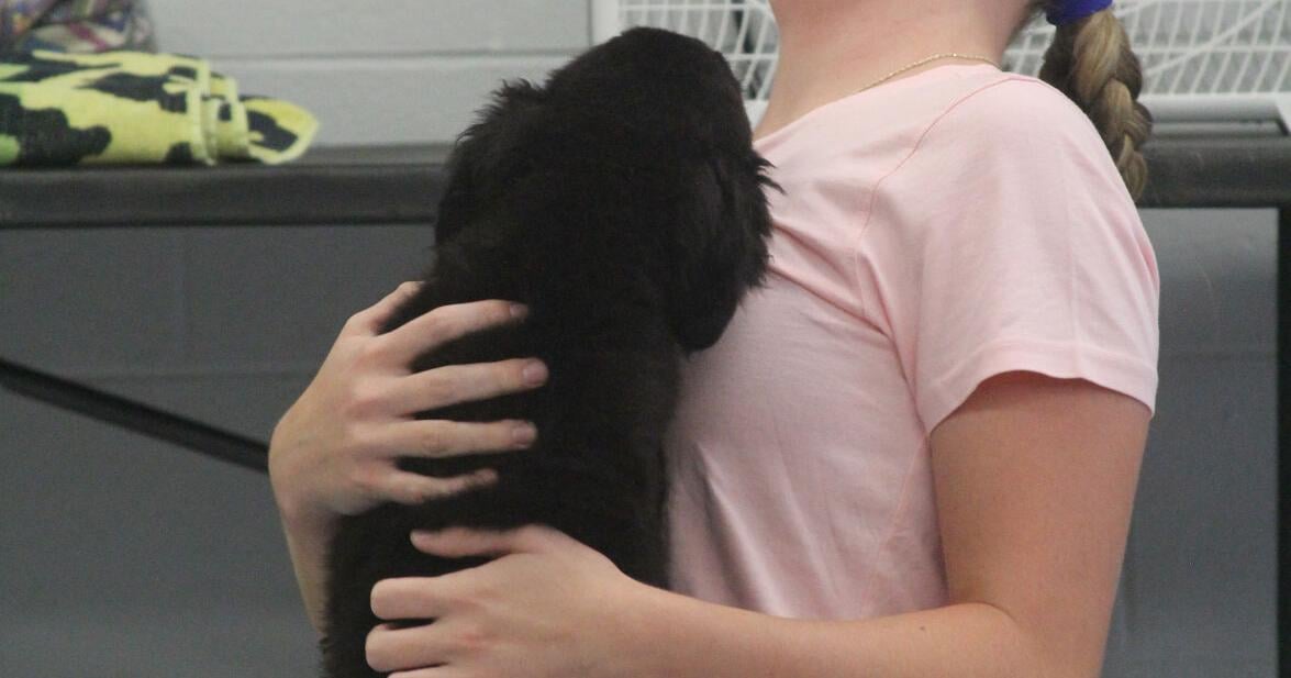 Pups & poses: Yoga class helps people find peace and maybe a pet
