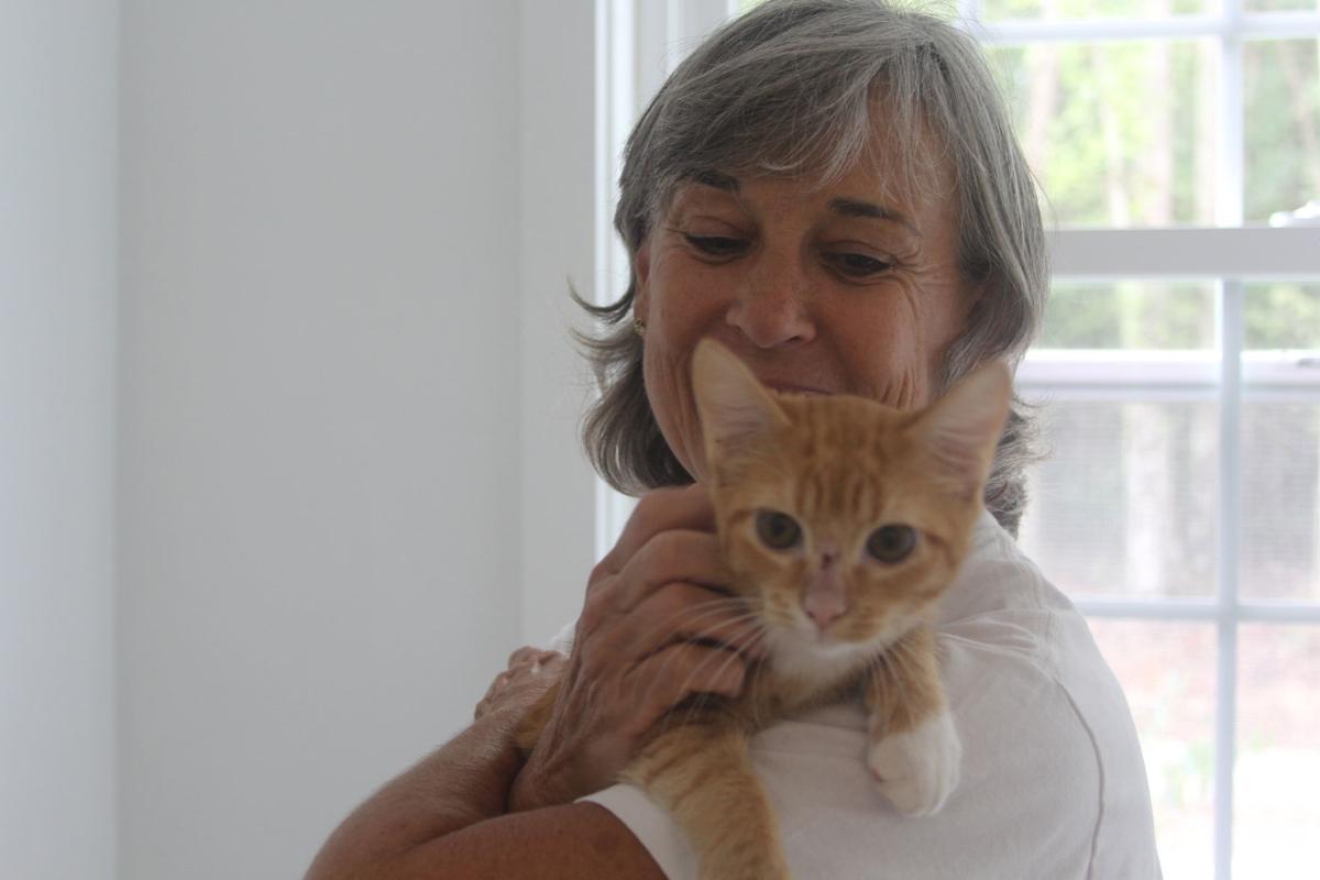 Coffee With Cats Mccormick Humane Society Vies For Adoptions With