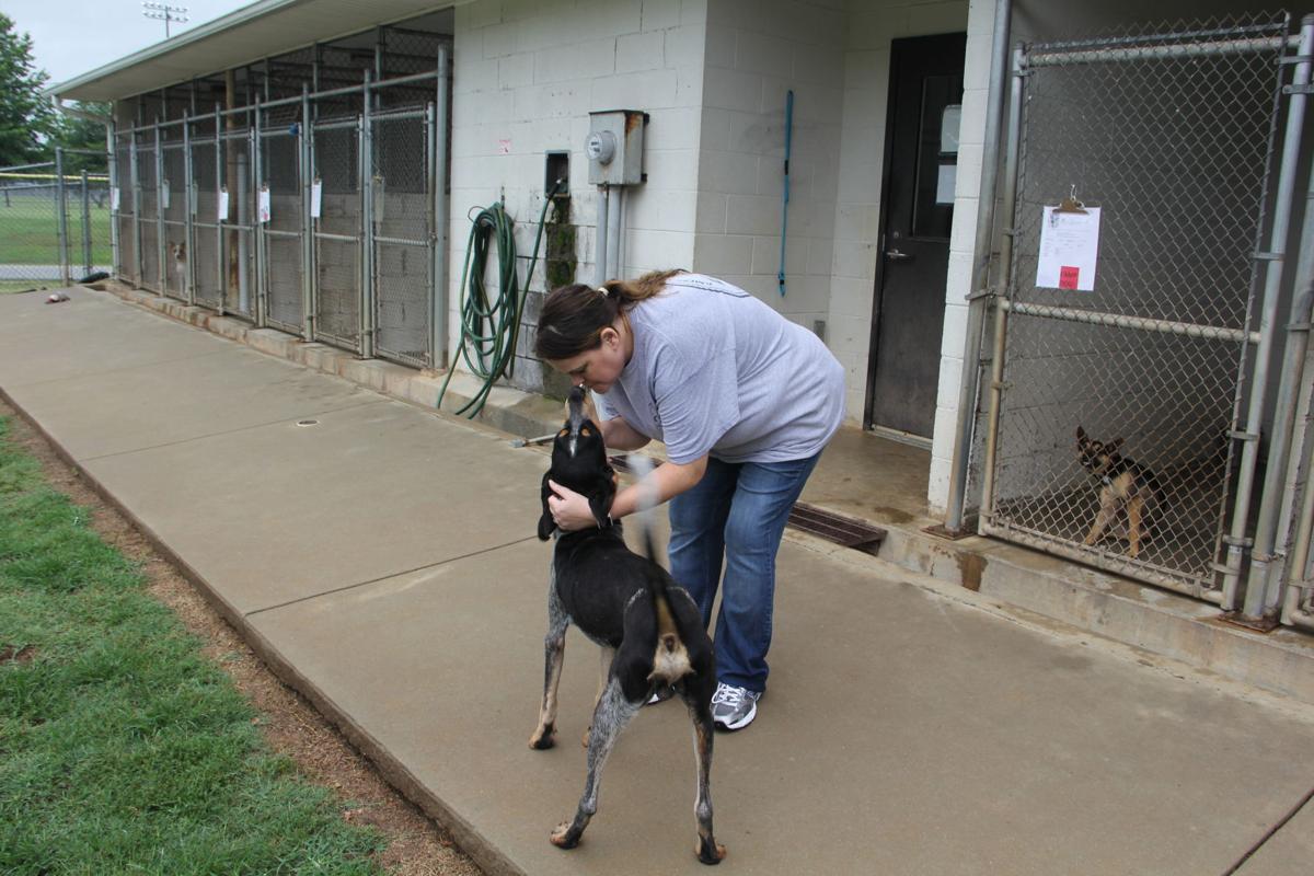 New Greenwood County Animal Shelter To Break Ground In July News Indexjournal Com