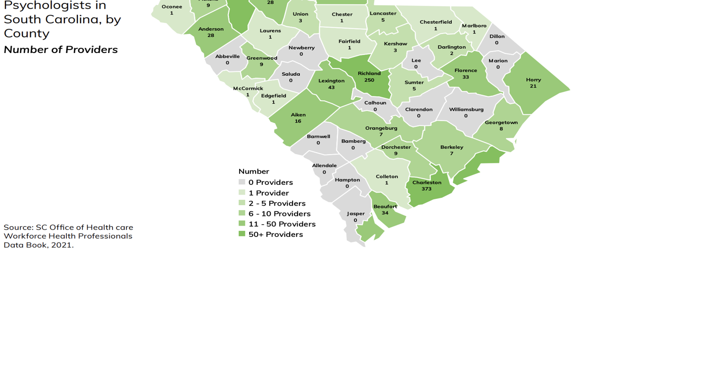 As access to mental health care declines in rural SC, state agency ...