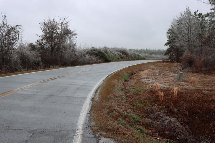 Outages, downed trees reported across Lakelands amid winter storm