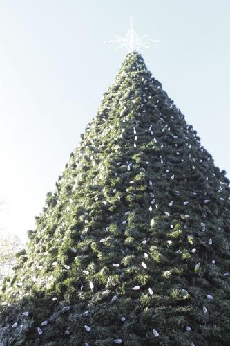 Christmas Tree Lighting Abbevillesc 2022 Abbeville Tree Lighting | Community | Indexjournal.com