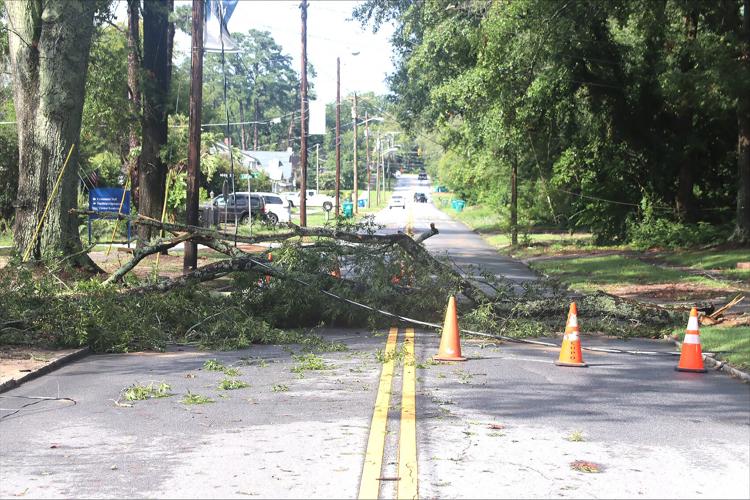 Storm downs trees, knocks out power | News | indexjournal.com