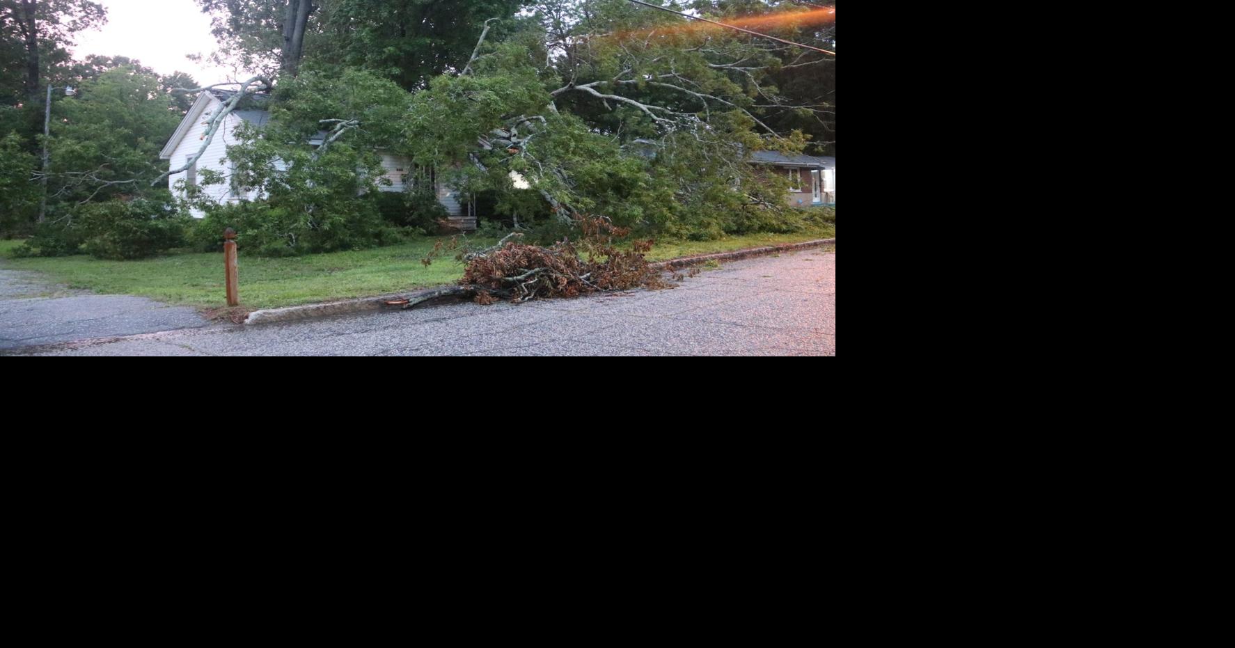 Storms down trees, knock out power across Lakelands | Breaking ...
