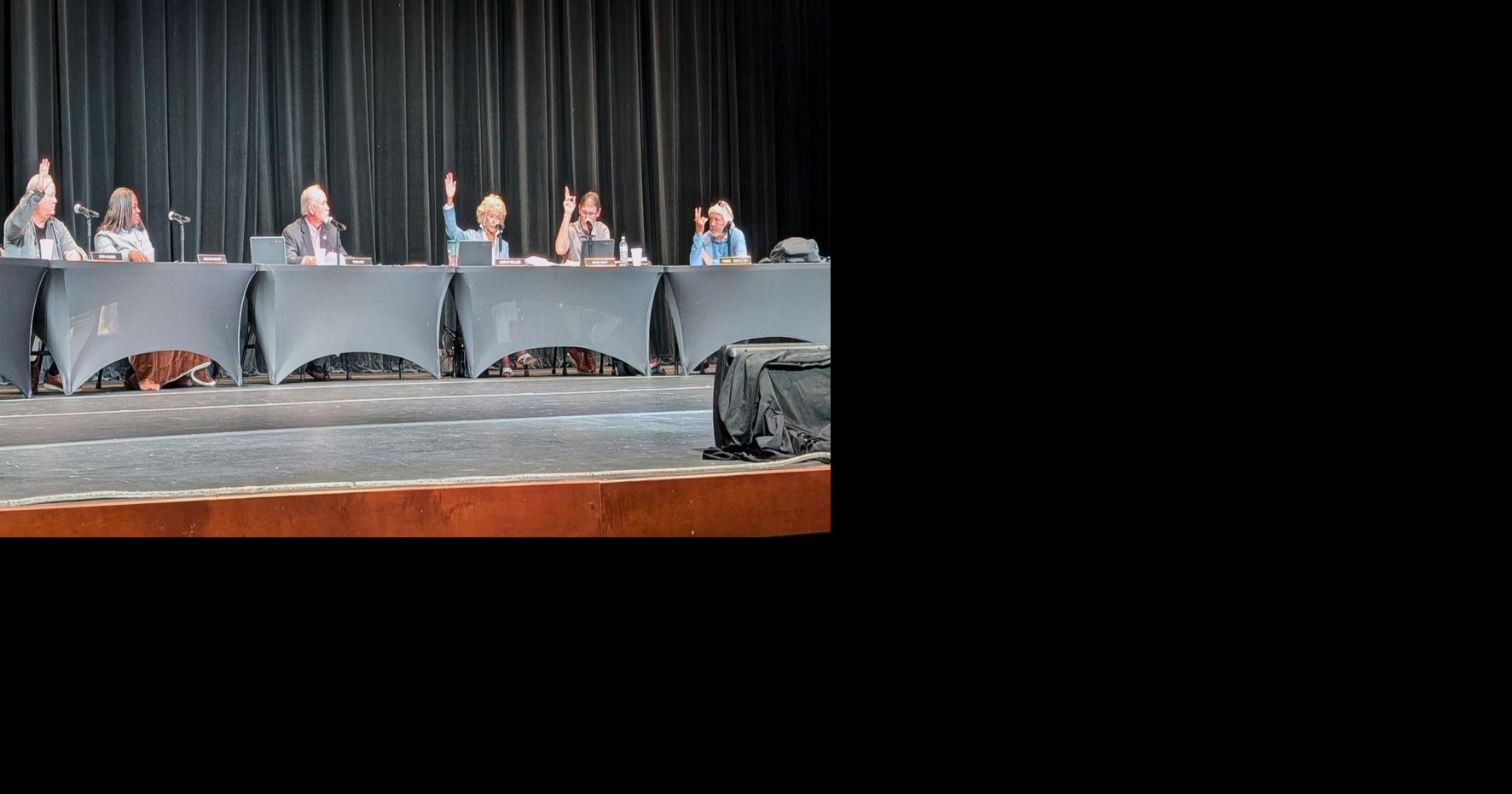 Moratorium advances: Greenwood County Council blocks data centers, advances moratorium after tense meeting