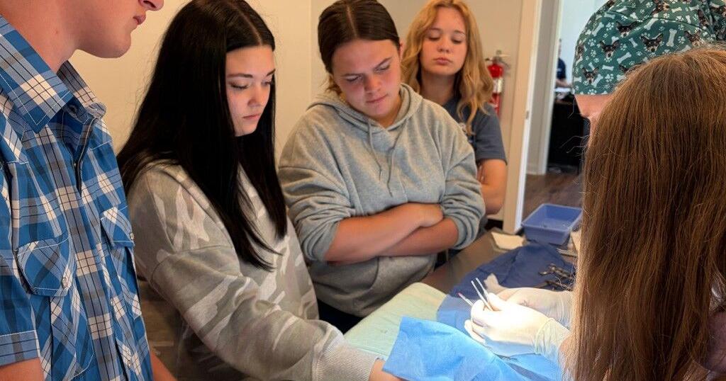 Paws up; Students get hands-on experience at new John de la Howe veterinary clinic