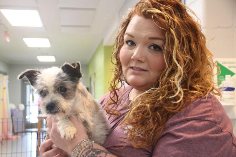 HSOG hosts free dog vaccination clinic News