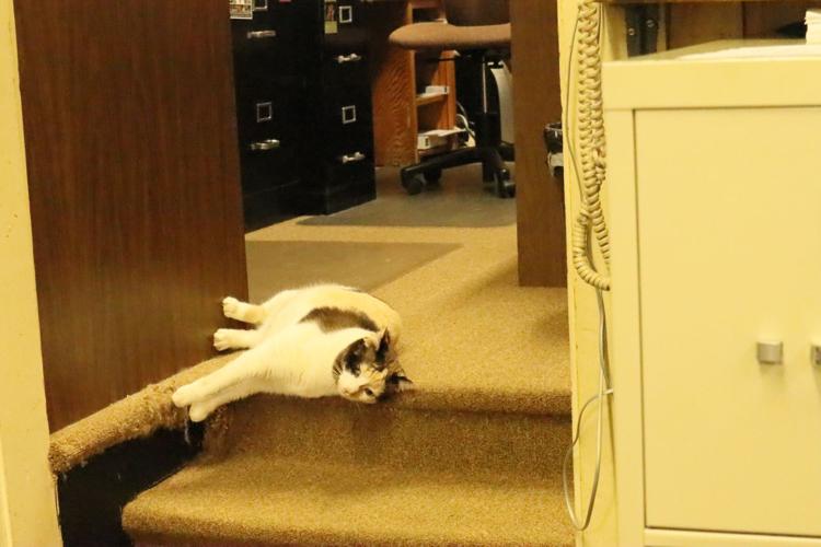 Book, office supply mainstay in Uptown Greenwood marks 100 years under