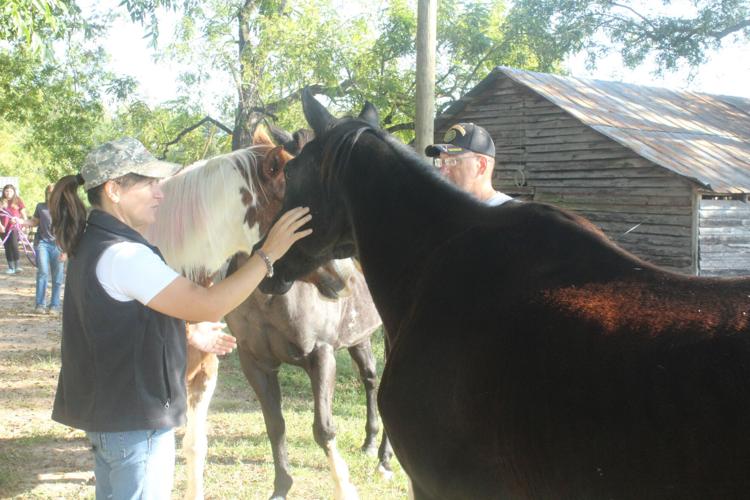 Paying it forward at Equine Heart Healers Ranch News