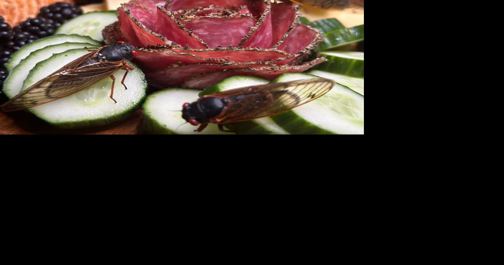 Food gettin' buggy: Cicadas Southern-style in trending YouTube video by ...