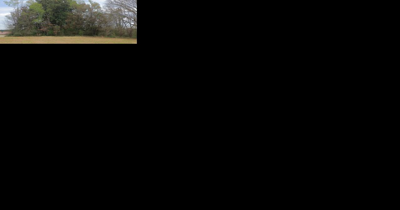 Tom Poland: An old tree, an old academy, a magnolia and a school of consequence - Vimarsana News