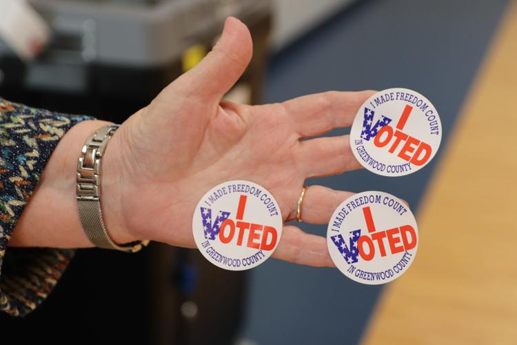 Problem-free primary highlights ease of new voting devices | News ...