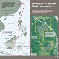 Hutan orang utan di Indonesia dibersihkan untuk perusahaan kemasan karbon netral